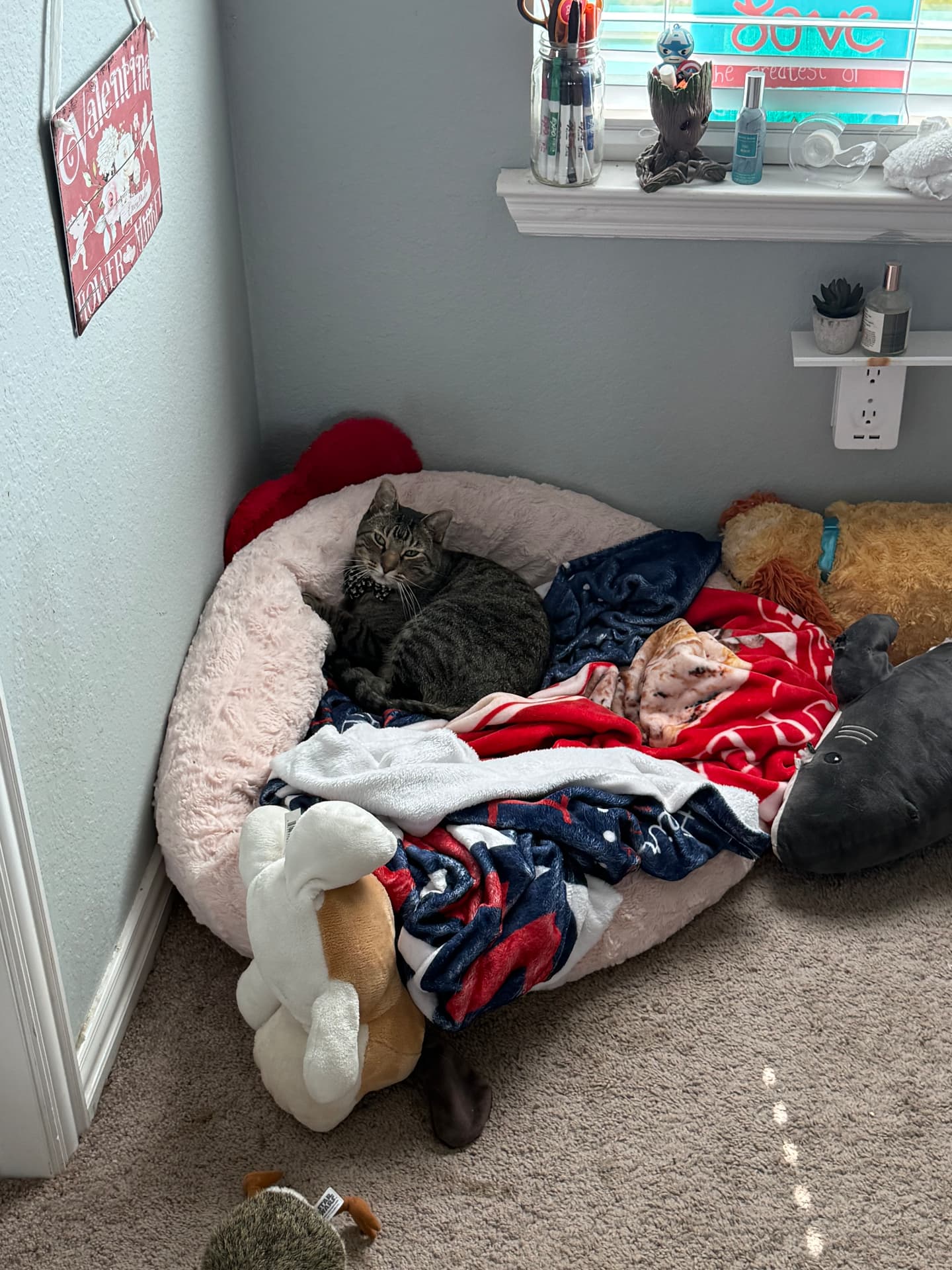 Percy the tabby cat resting in a fluffy bed surrounded by plush toys